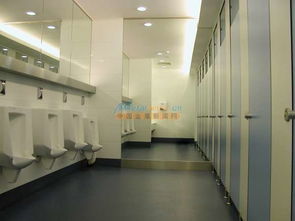 東莞衛生間隔斷效果圖及優惠板材選購指南